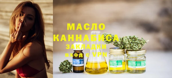 гашик Дмитриев