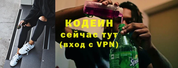 гашик Дмитриев