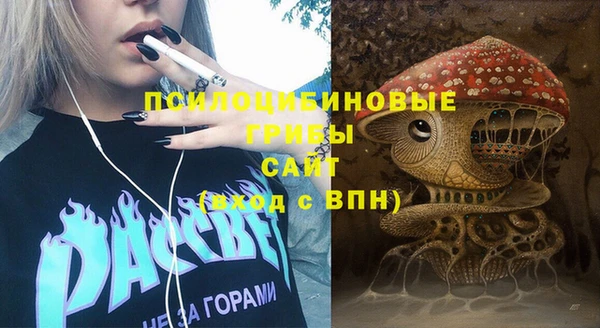 гашик Дмитриев