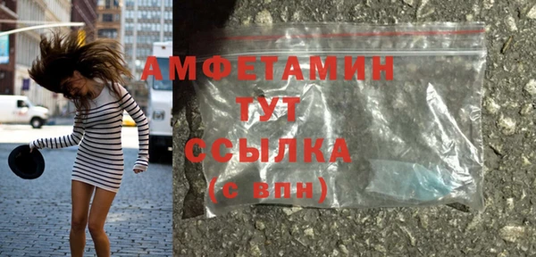 гашик Дмитриев