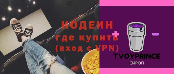 гашик Дмитриев