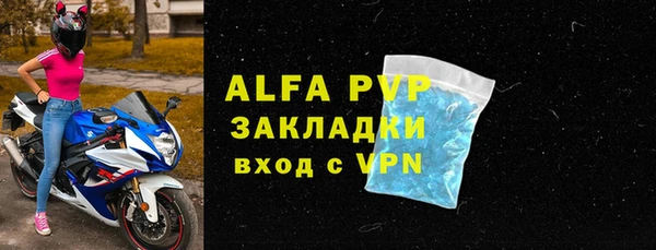 гашик Дмитриев