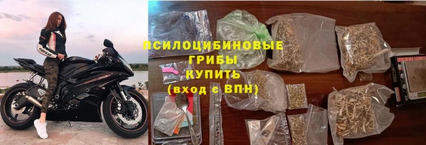 гашик Дмитриев