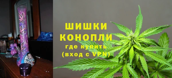 ГАЛЛЮЦИНОГЕННЫЕ ГРИБЫ Дмитров