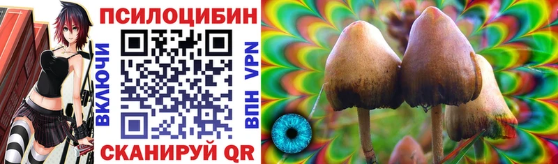 Псилоцибиновые грибы Cubensis  Купить  Питкяранта 